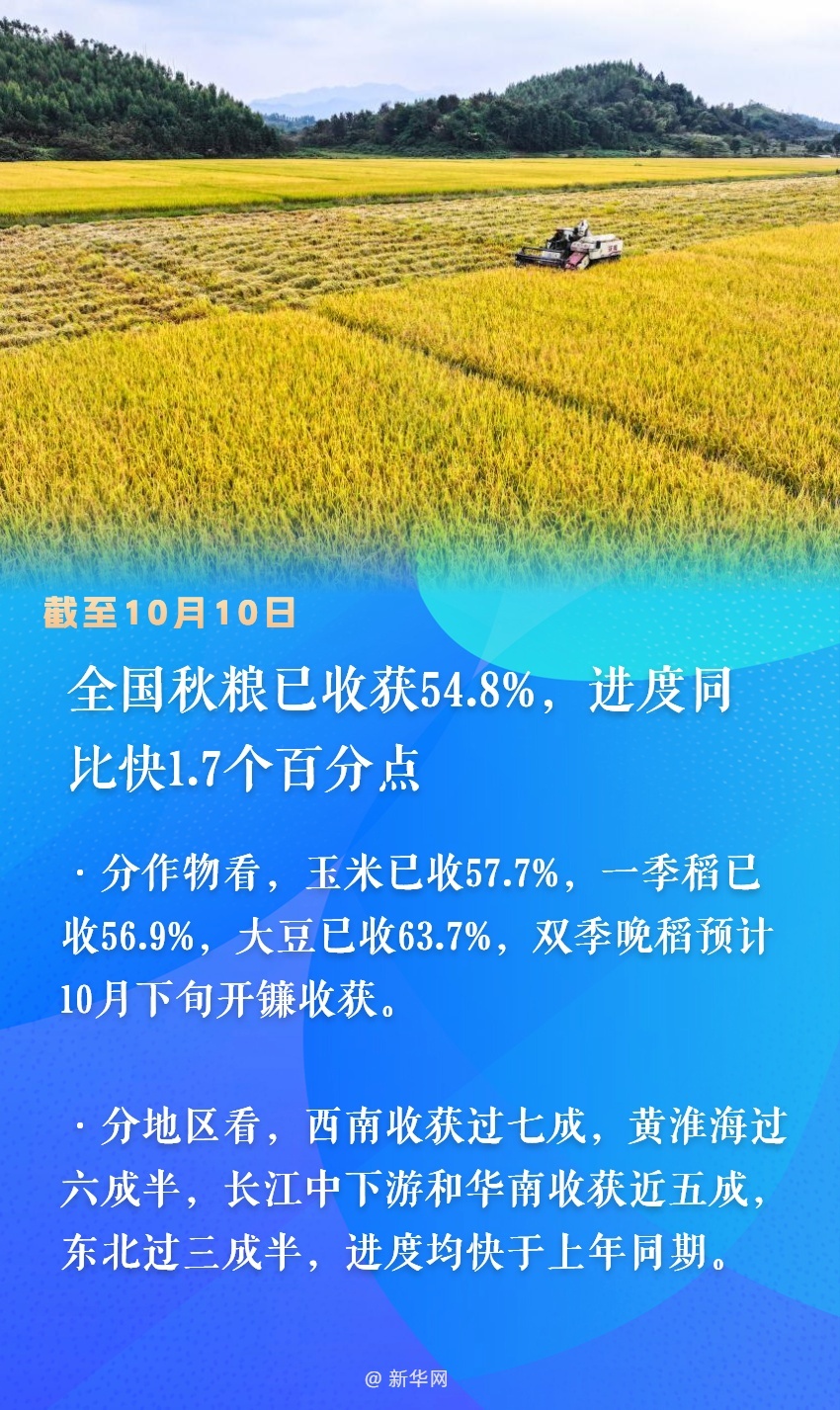 秋粮收获已过半 看各地良种良法保丰收